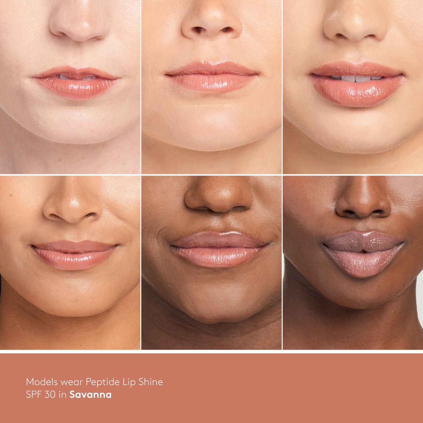 Colorescience Peptide Lip Shine